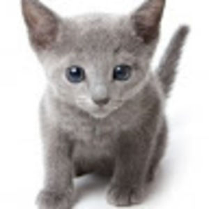 Meet your Posher, Ammara